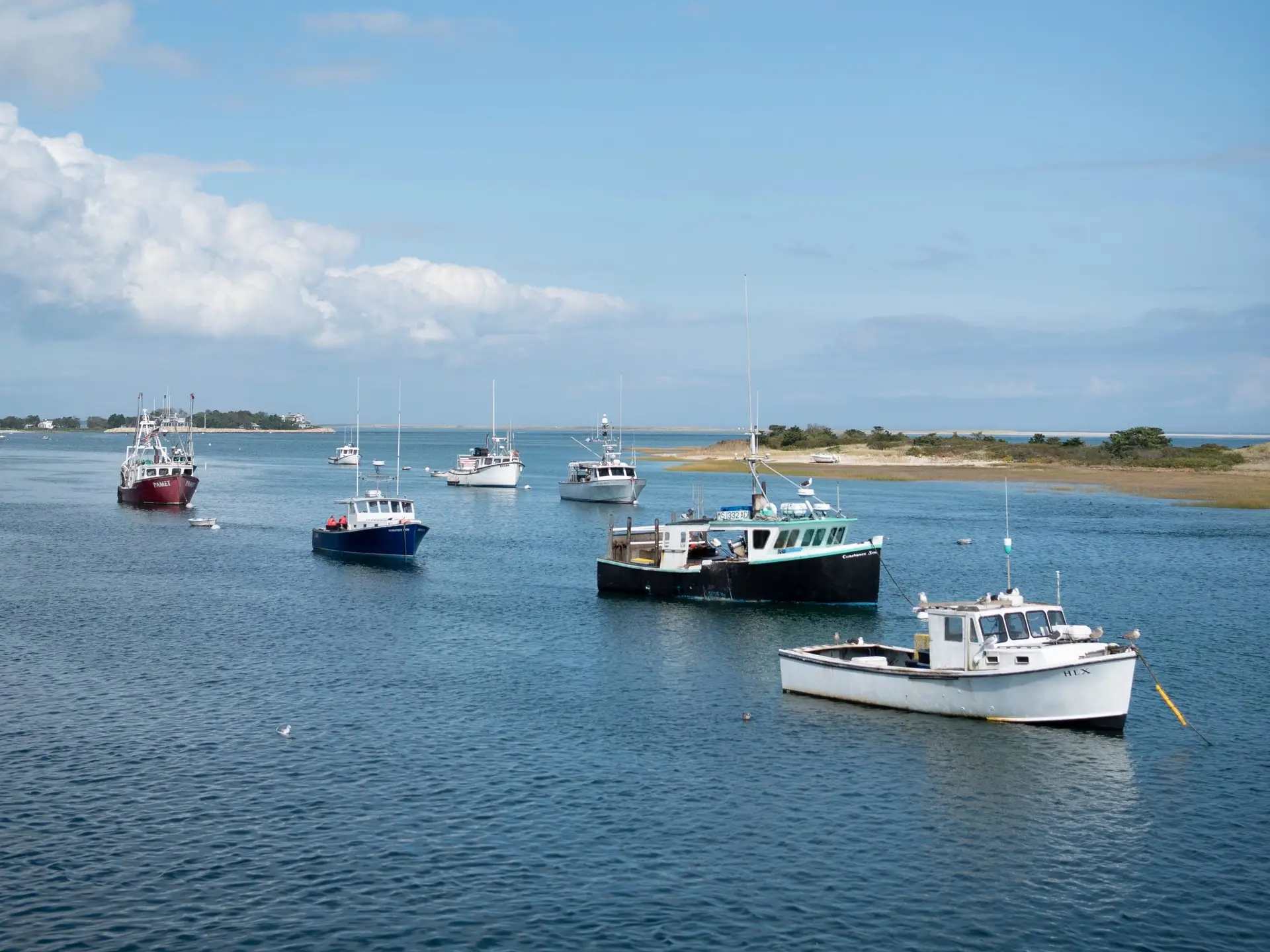 A scenic view from the Chatham Food Tours route
