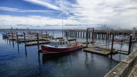 Provincetown working harbor