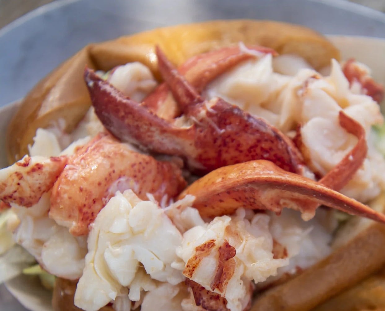 Lobster at the Chatham Pier Fish Market